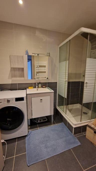 Appartement Cocooning Ars-sur-Moselle エクステリア 写真